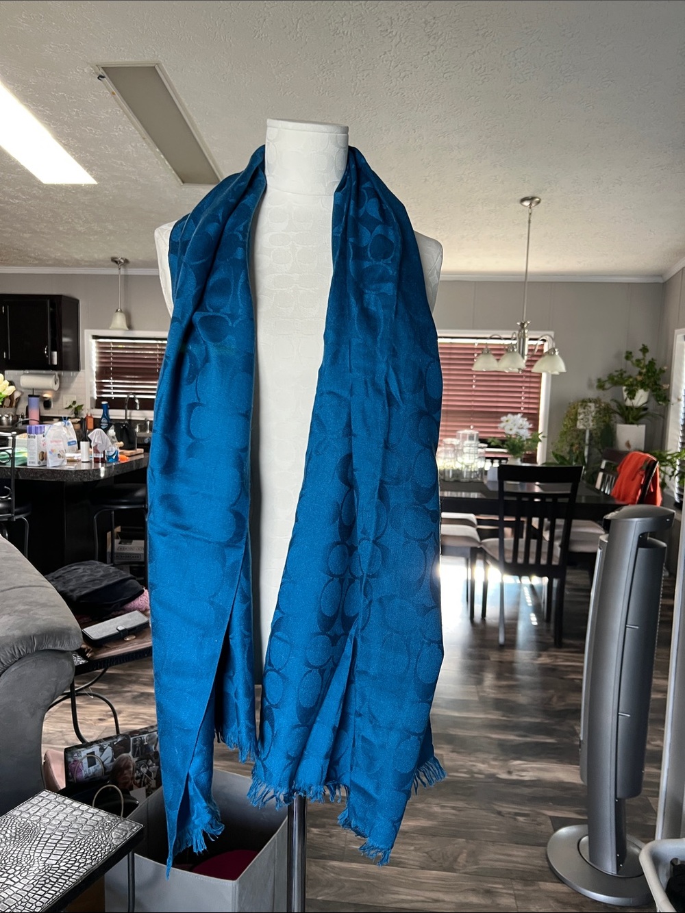 Coach logo scarf in rich blue